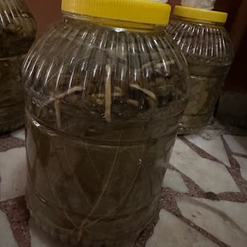 Aldığım Ürünler Instagram'dakilerle Alakasız Çıktı!