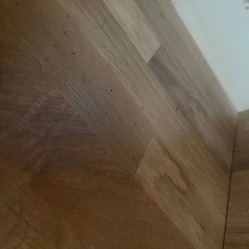 Yeni Alınan Mobilyalarda Tahta Kurusu Şoku Ve İlgisiz Firma Mağduriyeti