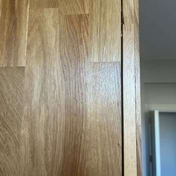 Yeni Alınan Mobilyalarda Tahta Kurusu Şoku Ve İlgisiz Firma Mağduriyeti