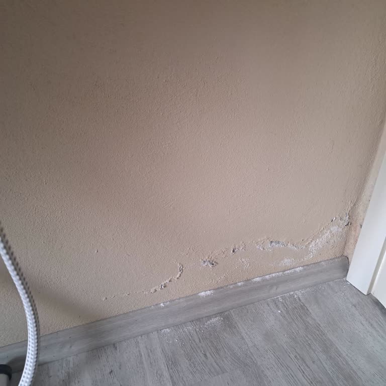 Ev Sigortasında Yetersiz Hasar Ödemesi Ve Müşteri Hizmetlerinde Oyalama