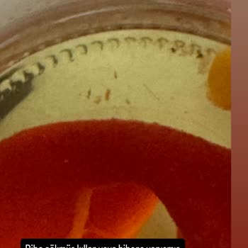 Tukaş Közlenmiş Biberde Yabancı Madde Ve Hijyen Sorunu