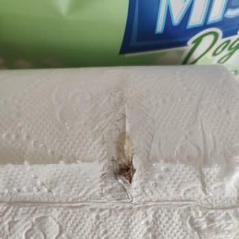 Mistral Tuvalet Kağıdında Hijyen Sorunu Ve Denetimsizlik