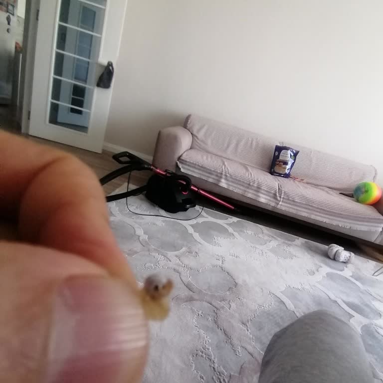 Tarhana Cipsinden Salyangoz Çıktı, Firma Dönüş Yapmadı