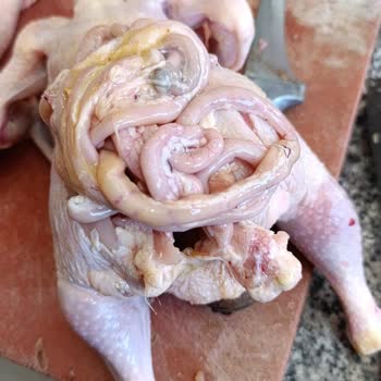 Aldığım Tavuk Ürününde Hijyen Sorunu Yaşadım