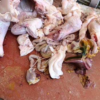 Aldığım Tavuk Ürününde Hijyen Sorunu Yaşadım