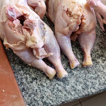 Aldığım Tavuk Ürününde Hijyen Sorunu Yaşadım