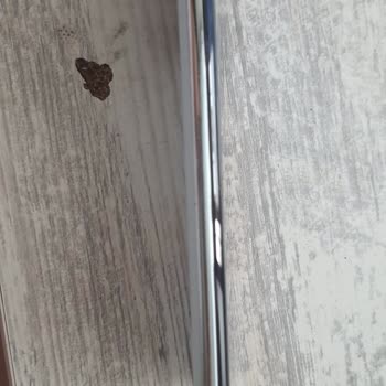 Reeder Garantili Telefonumun Tamiri İçin Yüksek Ücret Talebi Ve Çözülmeyen Sorunlar