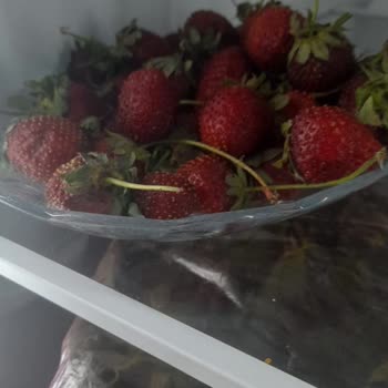 Vestel Buzdolabında Sürekli Soğutma Sorunu Ve Çözüm Eksikliği