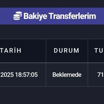 Satış Sonrası Destek Ve Ödeme Sorunu Yaşadım