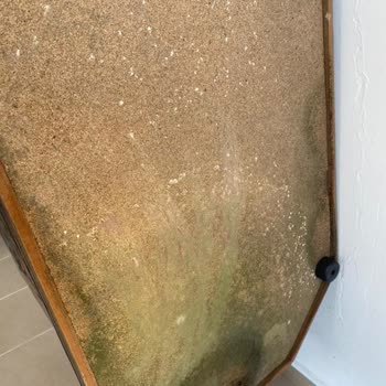 Anadolu Sigorta Hasar Ödemesi Mağduriyeti