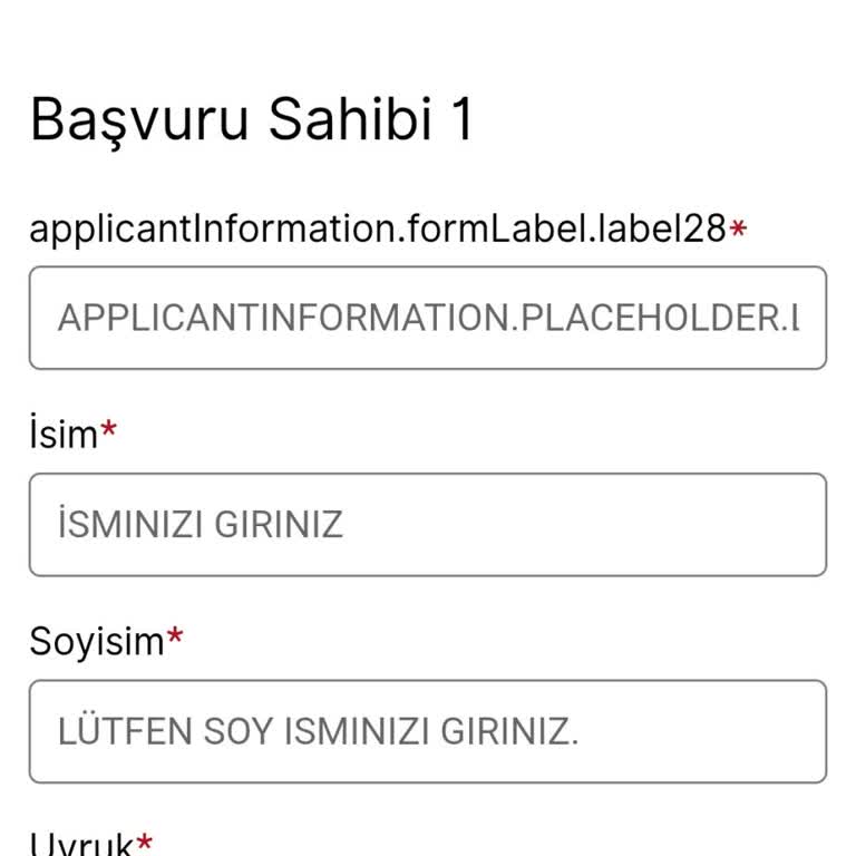 VFS Global Sitesinde Sürekli Hata: Vize Randevusu Alamıyorum