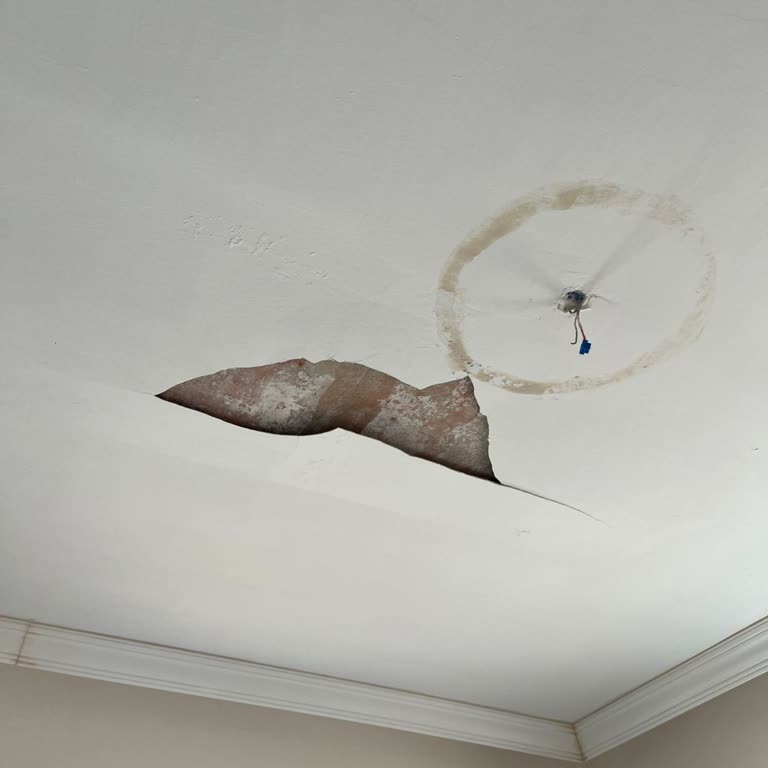 TOKİ Afet Konutlarında Eksiklikler Ve Kötü İşçilik Mağduriyeti