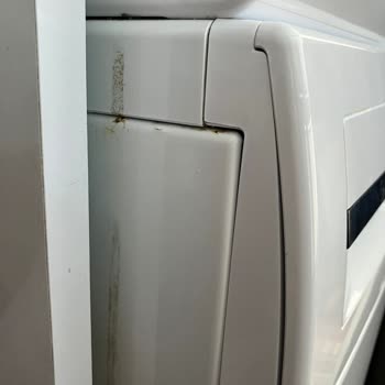 Bosch Çamaşır Ve Kurutma Makinelerinde Paslanma Sorunu Ve Yetersiz Servis Desteği