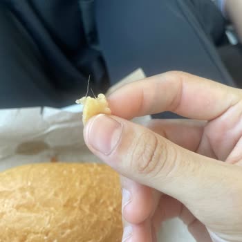 Nihavend Kafe (Kocaeli) Tavuk Dönerde Tüyleri Olan Yağ Tavuk Eti Çıktı