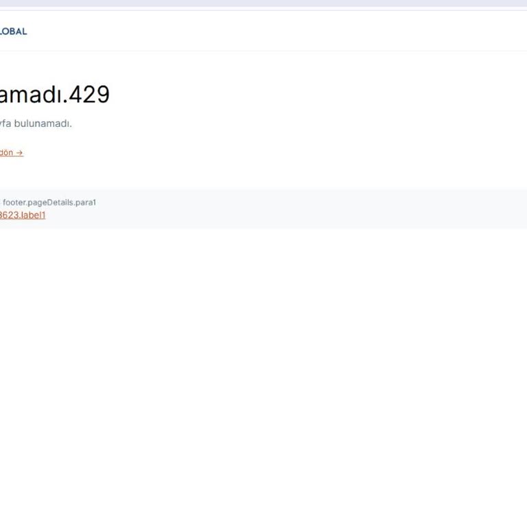 I Can’t Log Into VFS France System