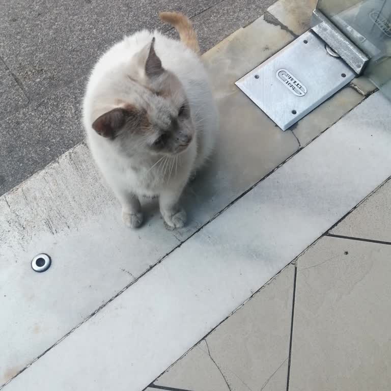 Fuzulevde Müşteri Hizmetleri Ve İletişim Sorunları Yaşadım
