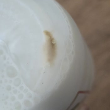 Keçi Sütünde Hijyen Sorunu Ve Güven Kaybı