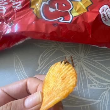 Ruffles Cipsin İçinden Çıkan Şüpheli Madde Şoku