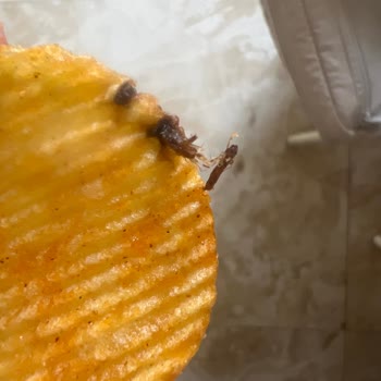 Ruffles Cipsin İçinden Çıkan Şüpheli Madde Şoku