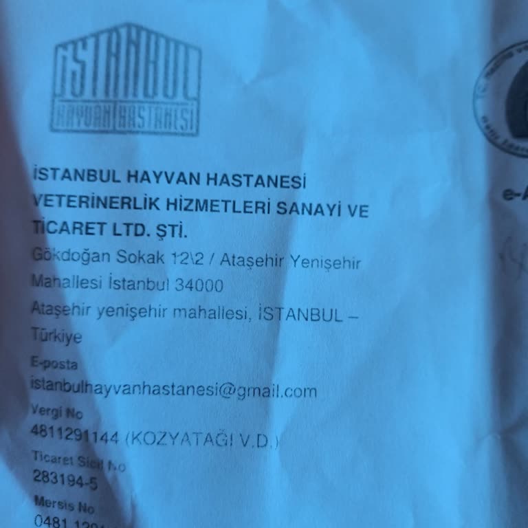 Veterinerde Doktorun Saygısız Ve Agresif Davranışı