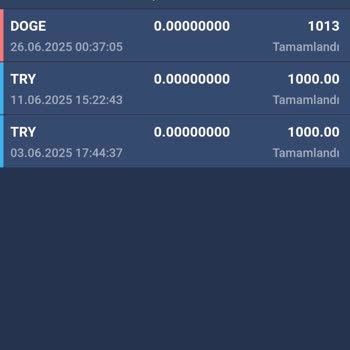 Bitexen Hesabımdaki Dogecoin'lerim Kayboldu