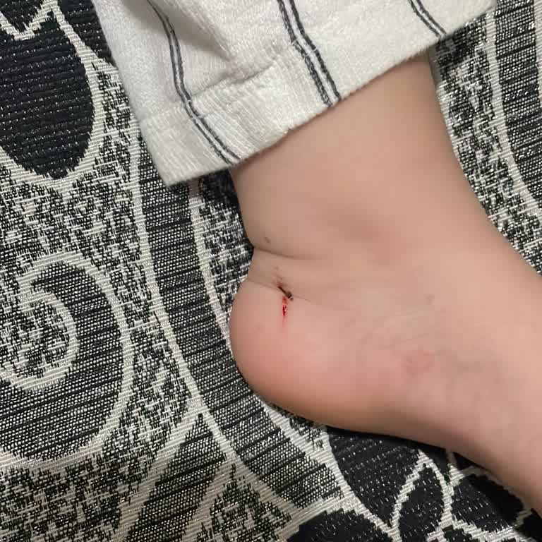 Kale Seyahat Ve Obilet İle Yaşadığım Olumsuz Yolculuk Deneyimi