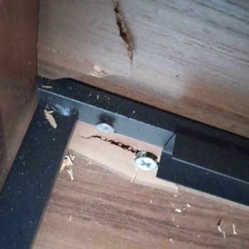 Horoz Lojistik Kaynaklı İade Mağduriyeti Ve Trendyol'un Yetersiz Desteği