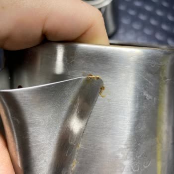 Yeni Alınan Çay Makinesinin Kısa Sürede Paslanması Ve İade Sorunu