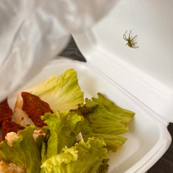 Yörsan Dinlenme Tesisleri'nden Aldığım Ürünlerde Temizlik Ve Hijyen Sorunu