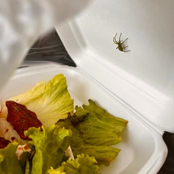 Yörsan Dinlenme Tesisleri'nden Aldığım Ürünlerde Temizlik Ve Hijyen Sorunu