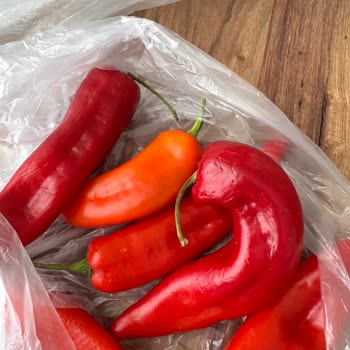 Onur Market'ten Gelen Siparişte Böcekli Ve Çürük Ürün Şoku Yaşadım