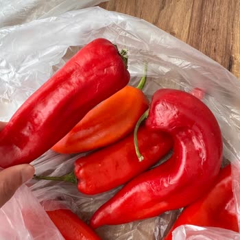 Onur Market'ten Gelen Siparişte Böcekli Ve Çürük Ürün Şoku Yaşadım