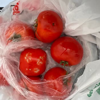 Onur Market'ten Gelen Siparişte Böcekli Ve Çürük Ürün Şoku Yaşadım