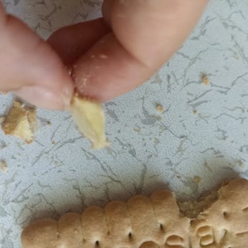 Bisküvi İçinden Yabancı Madde Çıkması Hayal Kırıklığı Yarattı