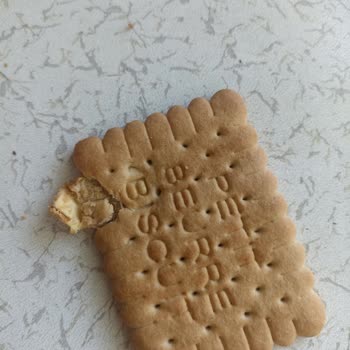 Bisküvi İçinden Yabancı Madde Çıkması Hayal Kırıklığı Yarattı