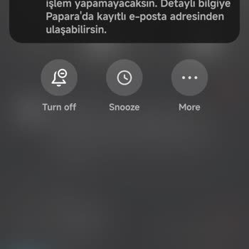 Papara 18 Yaş Altı Hesabım Bir Aydır Gereksiz İncelemede Mağdur Oldum