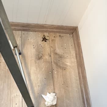 Montaj Hatası Sonucu Eve Yarasa Girmesi Ve Garanti Dışı Bırakılma