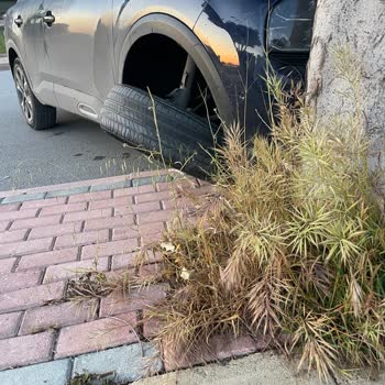 Citroen EC4X Aracımın Onarım Sürecinde Bilgi Ve İkame Araç Eksikliği