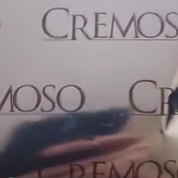 A101 Cremoso Markalı Yaş Pasta