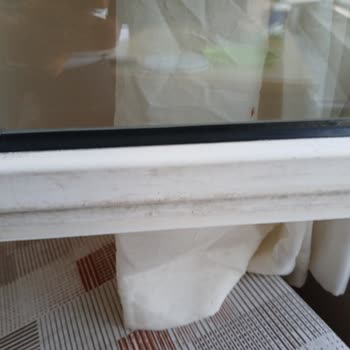 Temizlik Ve İlgisizlik Sorunu: İhlas Armutlu Tatil Köyü'nde Hayal Kırıklığı