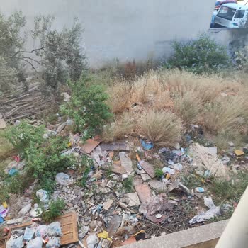 Bina Sakinlerinin Çöp Atma Alışkanlığı Yaşam Kalitemizi Düşürüyor