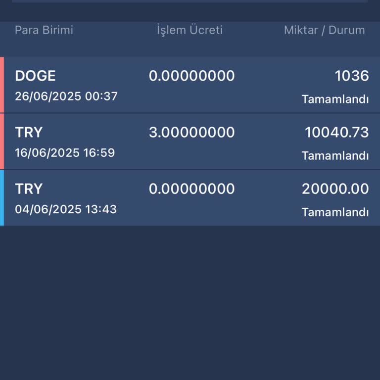 Hesabımdan Onaysız Doge Coin Transferi Ve Güvenlik Endişesi