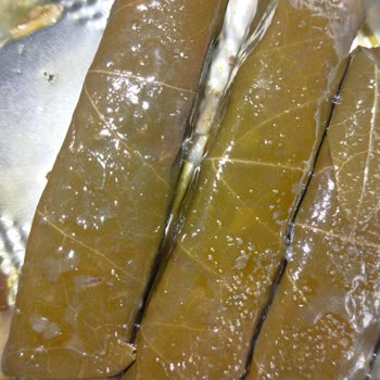 Burcu Gıda Yaprak Sarmasında Kum Çıkması Ve Kalite Sorunu