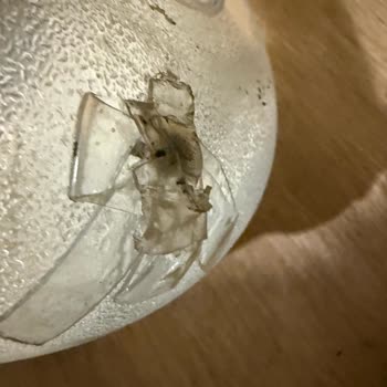 Damacana Suyun İçinde Paslı Çiviyle Karşılaştım