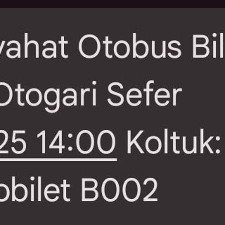 Şoför Ve Muavin İlgisizliği İle Yolcuya Hakaret, Valiz Tesliminde Sorun Yaşadım