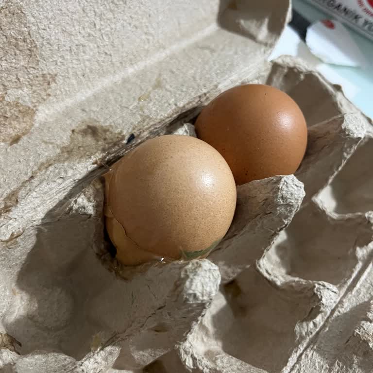 Migros'tan Sürekli Kırık Yumurta Ve Eksik Teslimat Sorunu