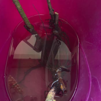 Eksik Ürün Teslimatı ve Yetersiz Müşteri Hizmeti Nedeniyle Trendyol'dan Hayal Kırıklığı