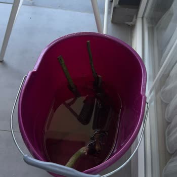 Eksik Ürün Teslimatı ve Yetersiz Müşteri Hizmeti Nedeniyle Trendyol'dan Hayal Kırıklığı