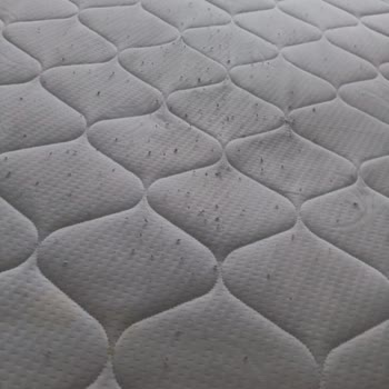 My Viscoo Garantili Yatakta Deformasyon ve Yetersiz Müşteri Hizmeti