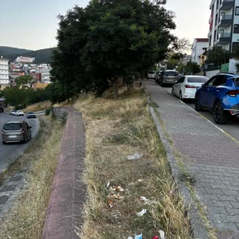 Sultanbeyli Belediyesi Arcan Sokak'ta Temizlik Ve Güvenlik Sorunları Acil Çözüm Bekliyor